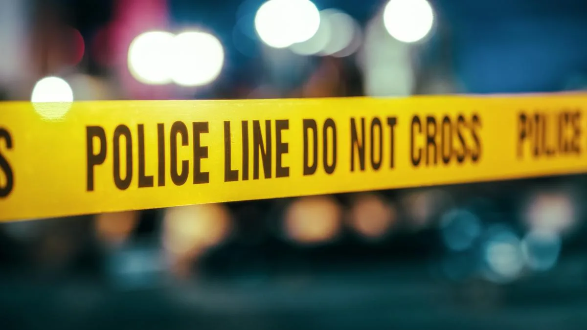 A road crash involving multiple vehicles in South Africa kills at least 21 people, officials say