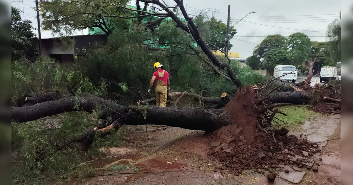 Temporal deixa quase mil casas danificadas em Apucarana, aponta balanço parcial da Defesa Civil
