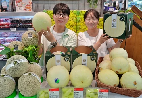 롯데마트, 29일부터 3.2㎏ '허니듀 킹메론' 3주간 한정 판매