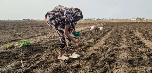 Super-El-Niño: Die kommenden Monate werden die Klima-Zukunft der Erde sichtbar machen