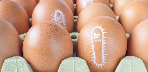 Surto de salmonela ligado a ovos importados mata 1 no Reino Unido