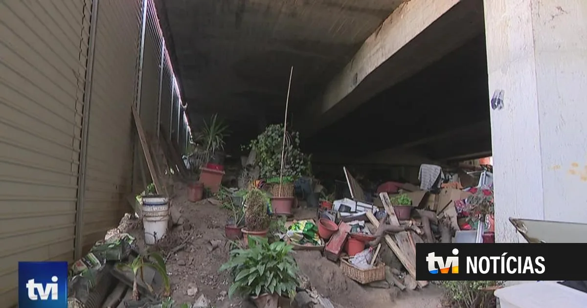 "Oferecemos cama e roupa lavada às pessoas". Câmara do Porto desmantela acampamento de sem-abrigo no viaduto de Grijó