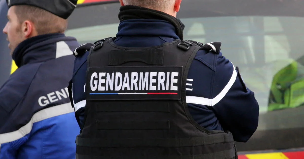 Vaucluse. Une femme de 52 ans tuée à coups de couteau chez elle, son fils reconnaît les faits