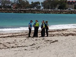 Blutspur im Wasser: Hai tötet Schwimmer vor westaustralischer Küste