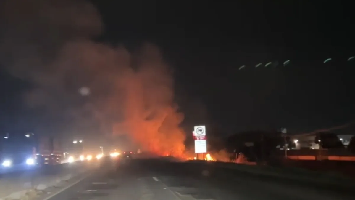 VÍDEO: Incêndio destrói área equivalente a 28 campos de futebol em Uberlândia