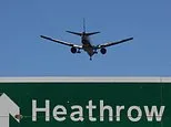 Heathrow suffers 'big challenges' as passenger numbers fall ahead of cancellation chaos