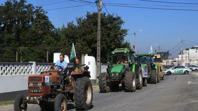 Agricultores em Ovar exigem salários dignos e apoio do Governo