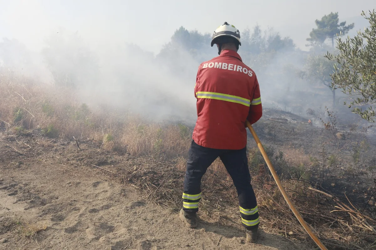 Mais de 60 concelhos estão em perigo máximo de incêndio. Temperaturas podem chegar aos 37ºC em Coimbra