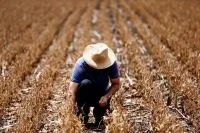 Aurora projeta alta de 10% nas vendas de espumantes no fim do ano