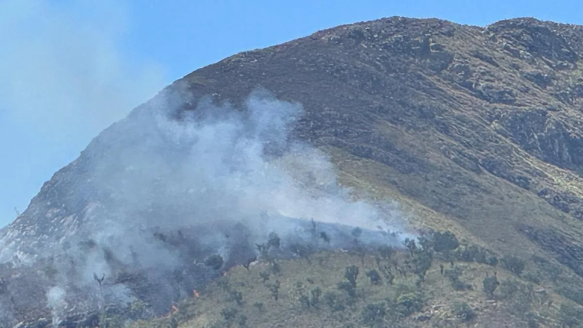 Seven teams deployed to put out forest fire in Erode’s Kadambur Hills
