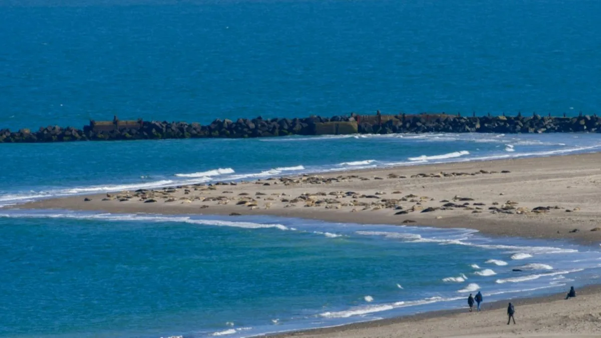 Nordsee 2025 so warm wie nie - stärkster Eiswinter an Küsten seit 15 Jahren