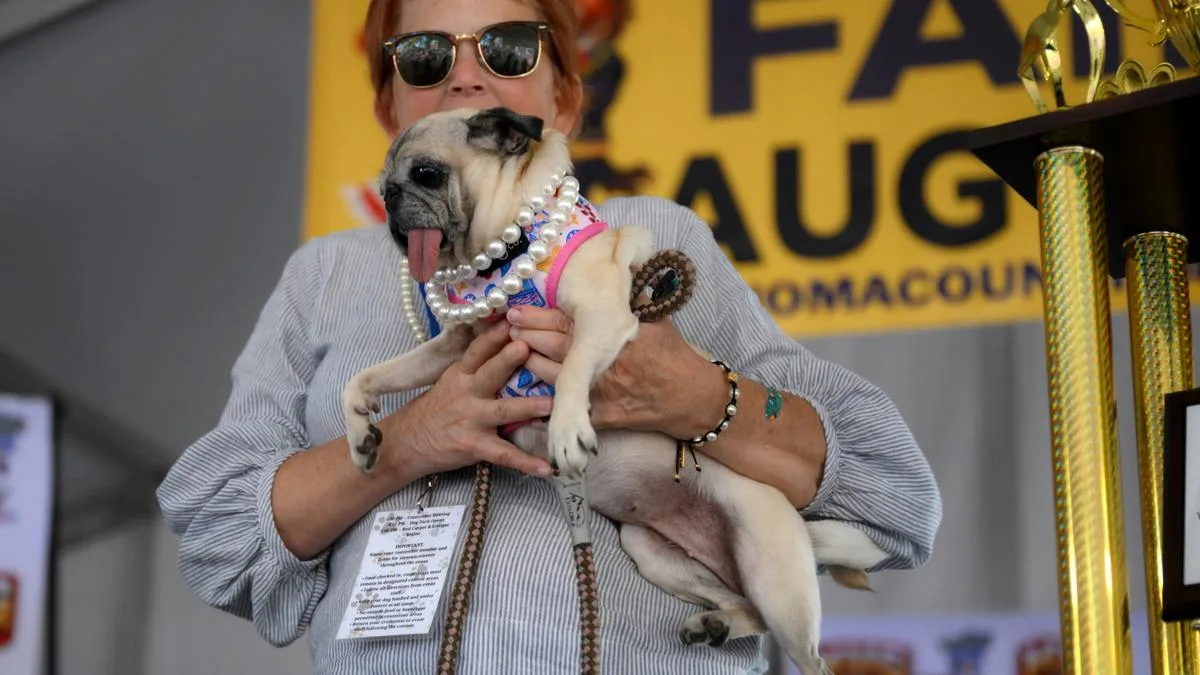 Pug crowned world's ugliest dog