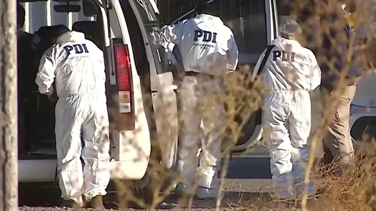 Macabro crimen en Chile: un adulto mayor decapitó a otro a hachazos