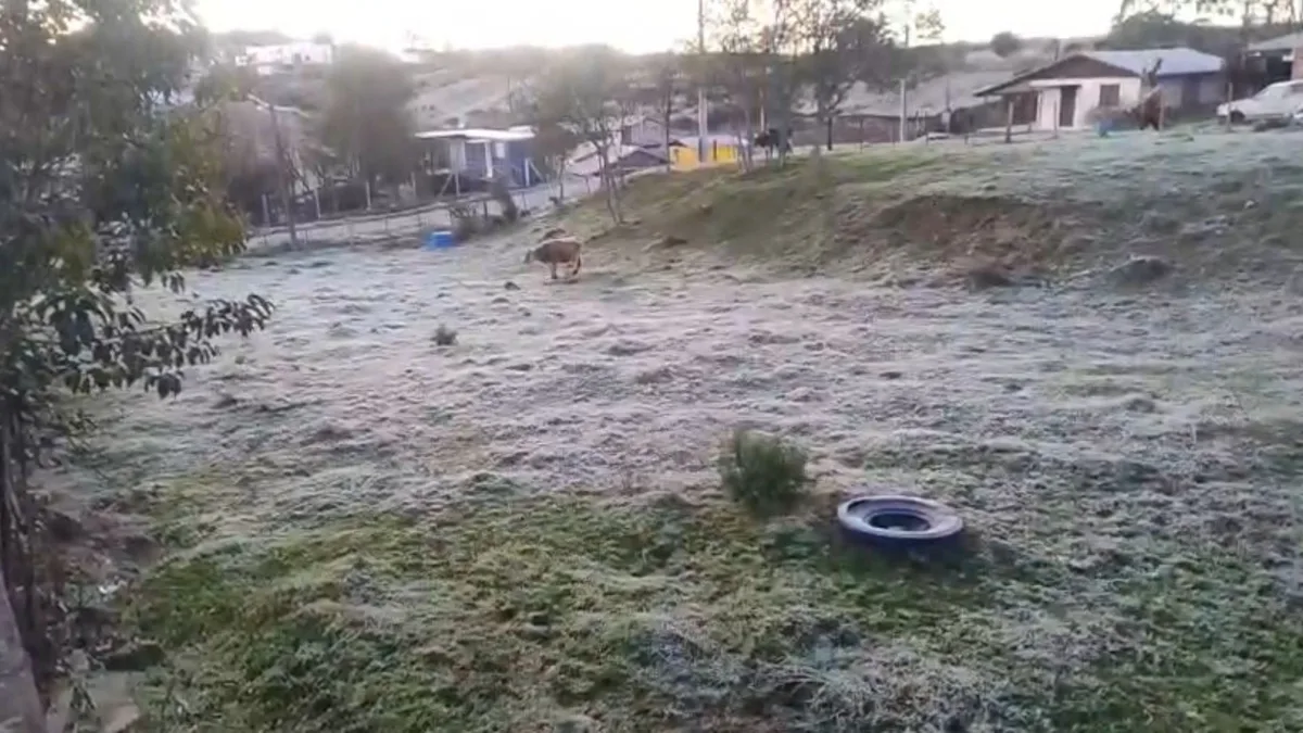 Ar polar derruba temperaturas no RS, que volta a registrar mínimas negativas; Serra marca -1,9°C