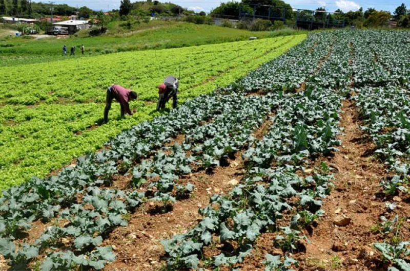 EEUU activa garantías de crédito para facilitar la venta de productos agrícolas a Venezuela