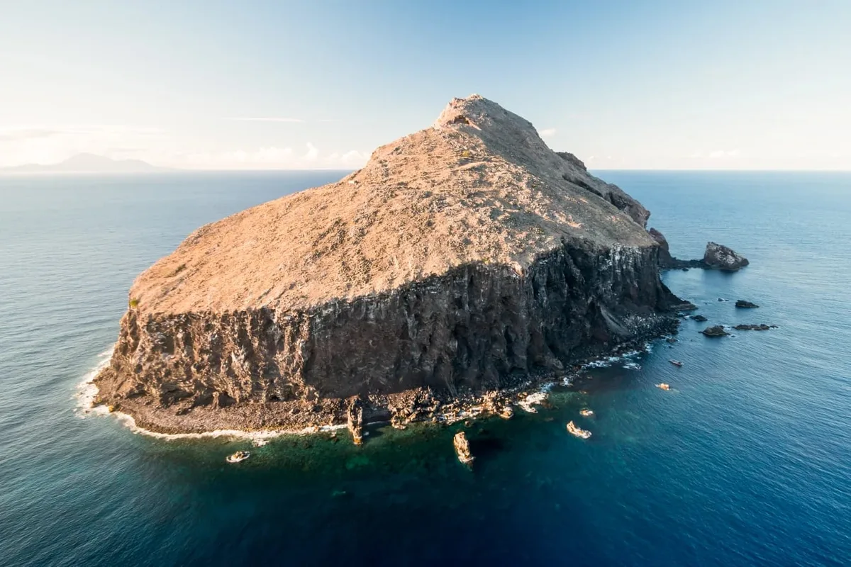 Sacaron más de seis mil ratas y todas las cabras de una isla: lo que encontraron años después los sorprendió