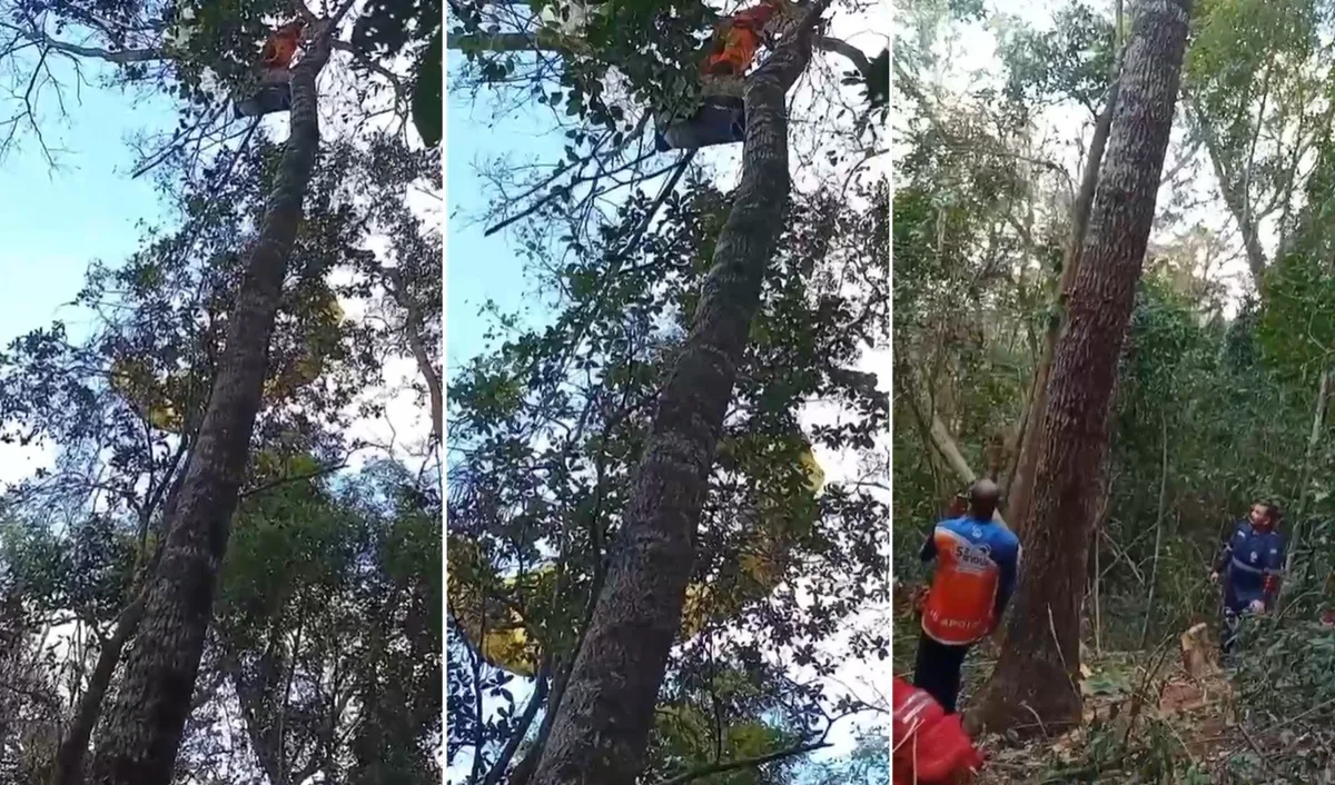 Esportista é resgatado após ficar preso em árvore a 15 metros de altura em Porciúncula