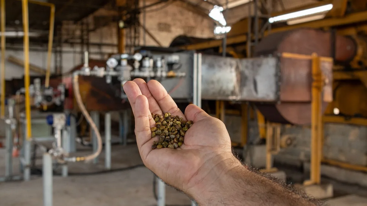Agro no ES testa uso de gás natural na secagem do café