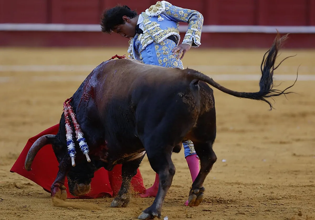 La Policía interviene 156 entradas de reventa durante la Feria Taurina de Málaga