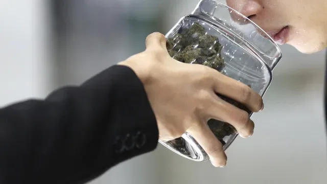 Negócio da canábis na Tailândia procura novo rumo 4 anos após legalização