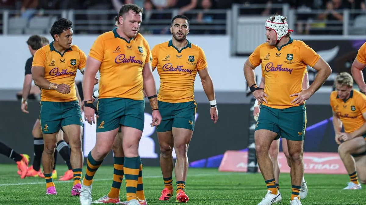 Wallabies not losing belief despite another humbling by All Blacks in Bledisloe Cup disaster