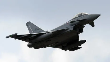 NATO scrambles jet over flock of birds