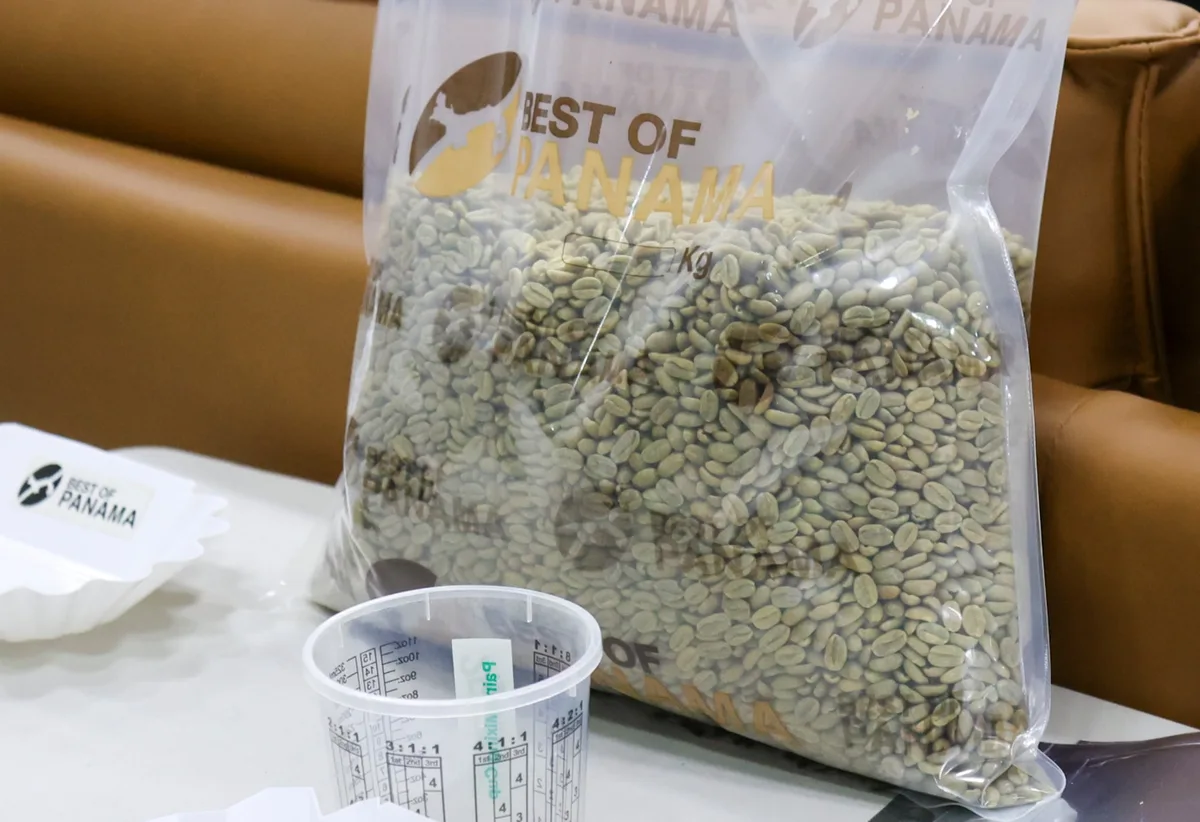 Más de 256 compradores pujarán por los mejores cafés de Panamá
