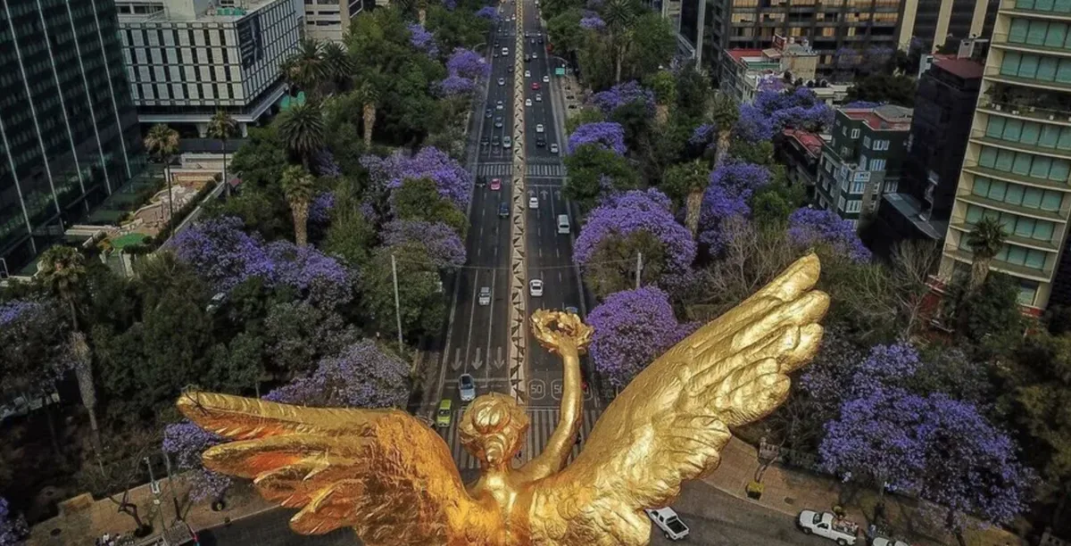 NUDO GORDIANO: México en construcción
