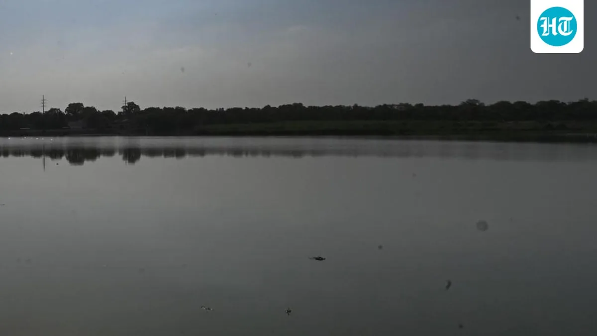 Shahdara, Barapullah among most polluted drains discharging into Yamuna: Report