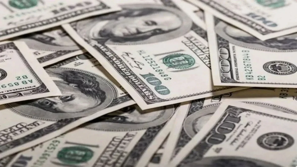 India's forex reserves hit all-time high of $729.33bn after $12.42bn jump