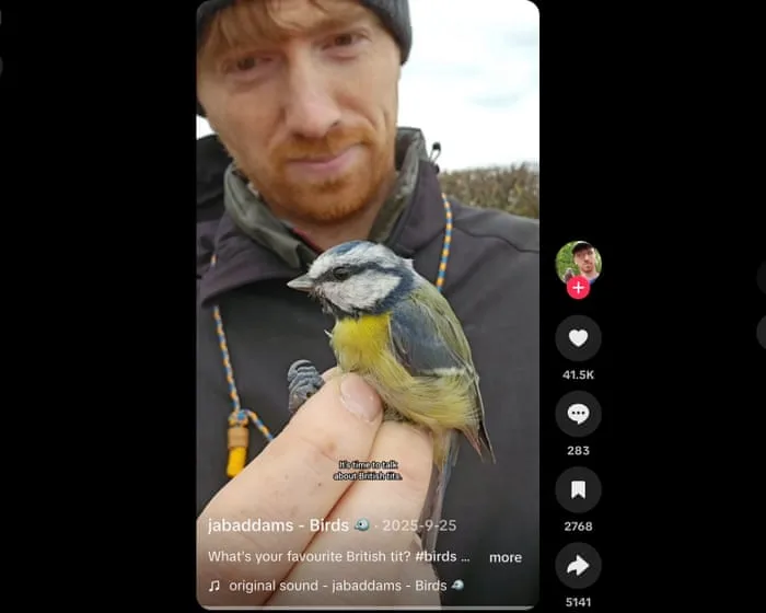 Gen Z flocks to BirdTok as birding takes flight: ‘It’s a craving for something real’