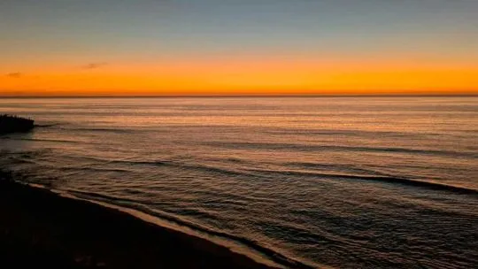 La NASA detecta una caída de fitoplancton en el Pacífico debido al avance de El Niño: advierten consecuencias alimenticias y de pesca