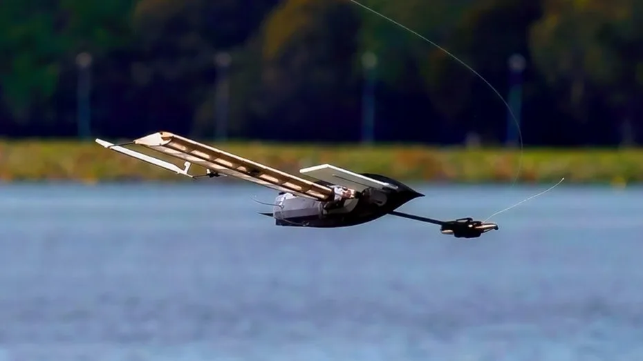 Wie ein Ahornsamen: Dieser Roboter fliegt und segelt autonom
