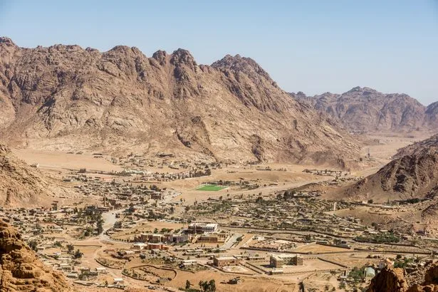 At least 16 people killed and dozens injured in Egyptian holiday hotspot bus crash