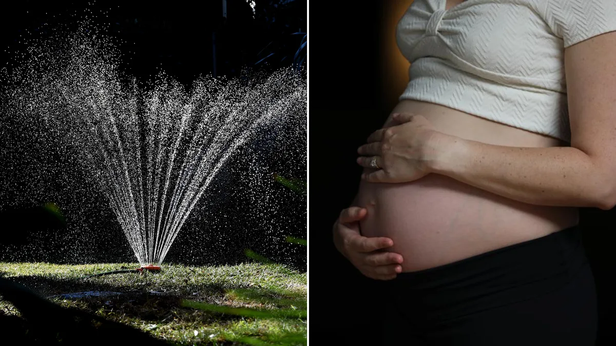 Australian researchers find potential link between plastic additive and symptoms of autism and ADHD