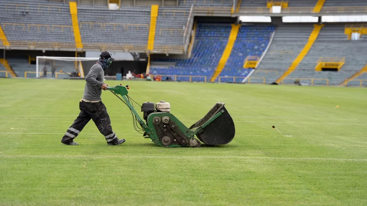 El Campín por fin tendrá fútbol: así se encuentra la gramilla tras su proceso de recuperación