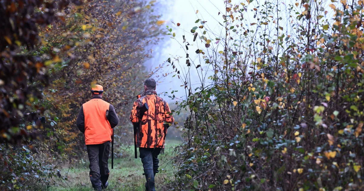 Loire. « La faune sauvage a souffert » : après les canicules, une association veut reporter l’ouverture de la chasse