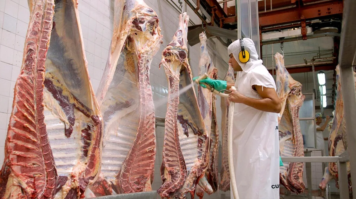 Brasil, el mayor proveedor mundial de carne vacuna que se debate entre la fortaleza y la vulnerabilidad