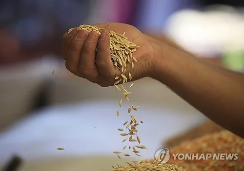 전쟁에 치솟는 곡물가, 식량위기 우려 고개…"진짜 공포는 내년"