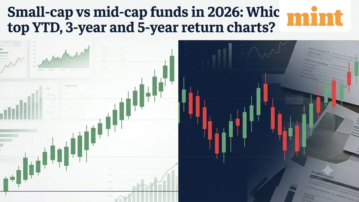 Small-cap mutual fund category gains 10% in 2026; mid-cap in red: Which schemes lead across YTD, 3- and 5-year returns?