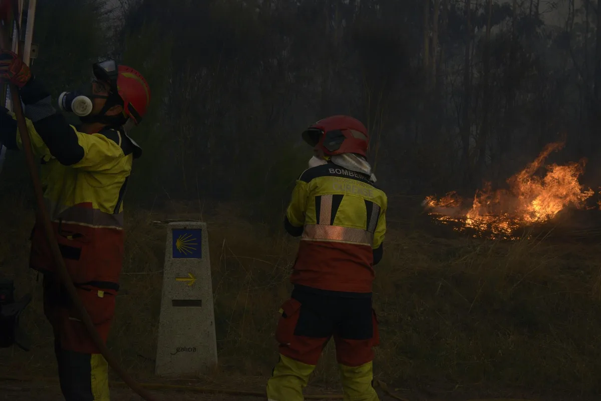 PACMA pide a las CCAA que prohíban la caza para recuperar los herbívoros que pasta en el monte y previenen fuegos