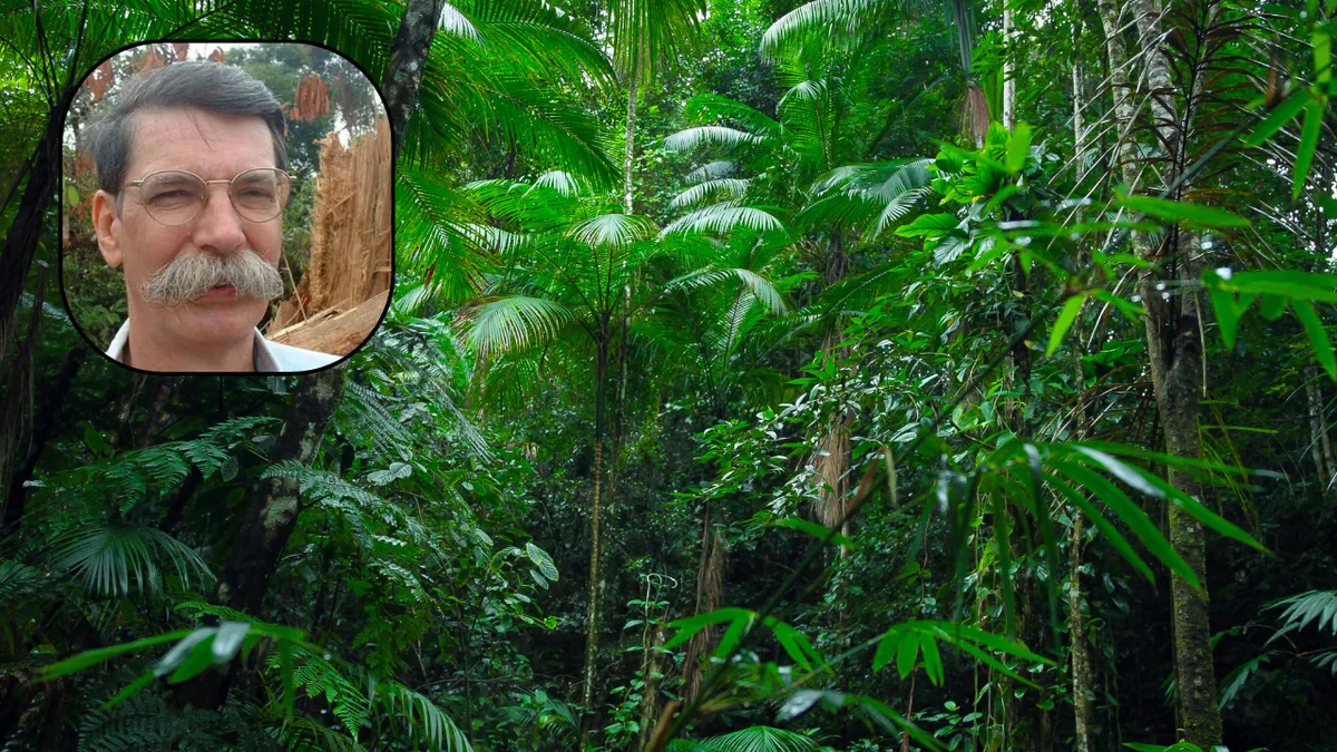 50 years of Amazon research reveal the cost of deforestation, dams and highways