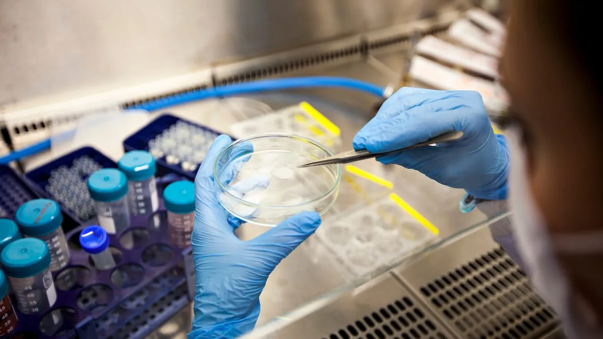 Forscher aus Bonn verjüngen Zellen von 80-Jährigem um 60 Jahre