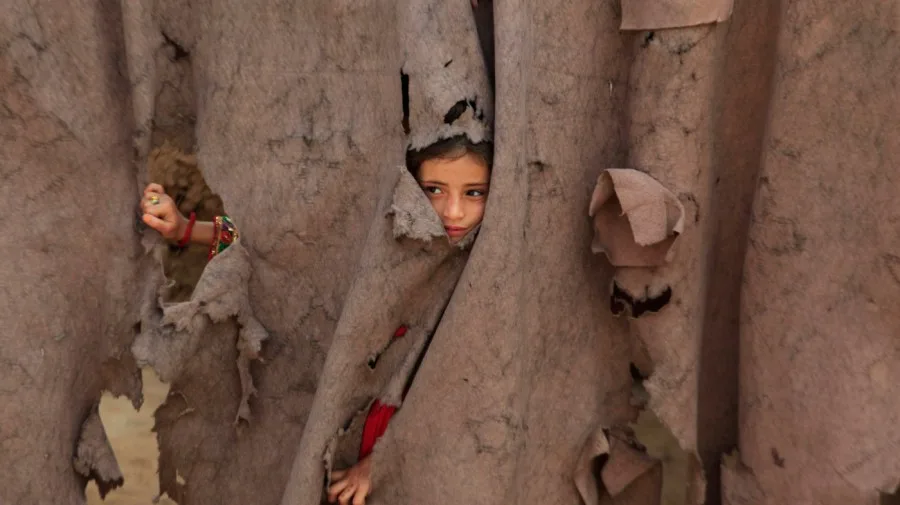 No one should be sent back to Taliban rule