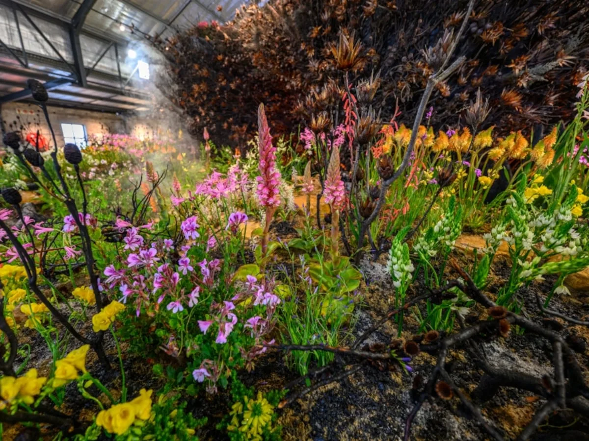 LS only 10 things to do at Stanford in Bloom
