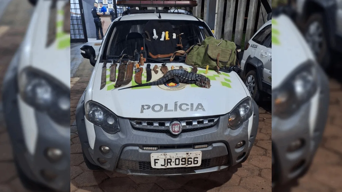 Dupla é multada em R$ 1 mil por caça ilegal e polícia apreende cães com GPS e animais mortos em Bofete