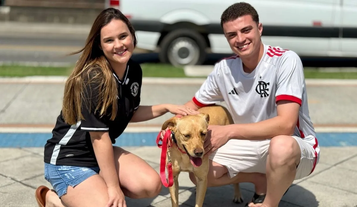 Amor à primeira vista: cão encontra nova família em feira de adoção em Cariacica