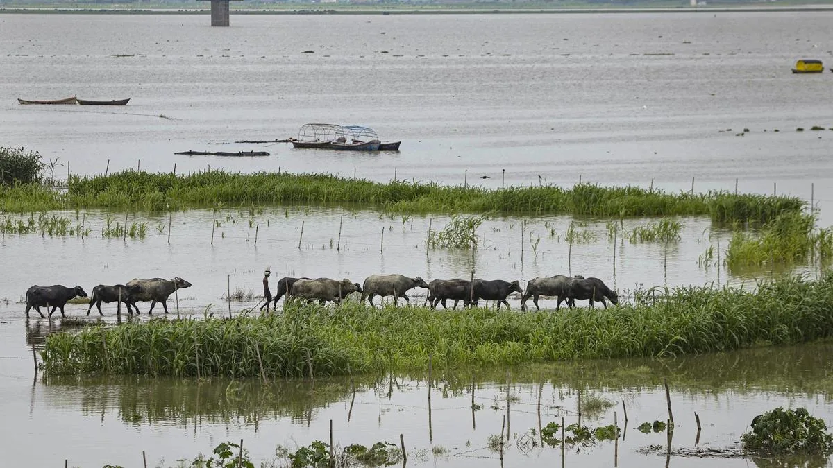 NGT issues notice to Centre against amendment on Ganga floodplains