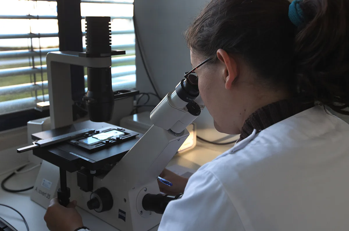 Cientistas criam novo mapa molecular do autismo com ajuda de inteligência artificial