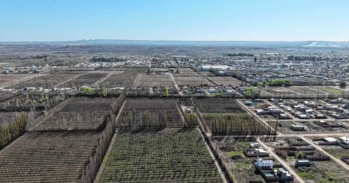 El avance urbano sobre las chacras: el desafío de planificar el crecimiento en el Alto Valle
